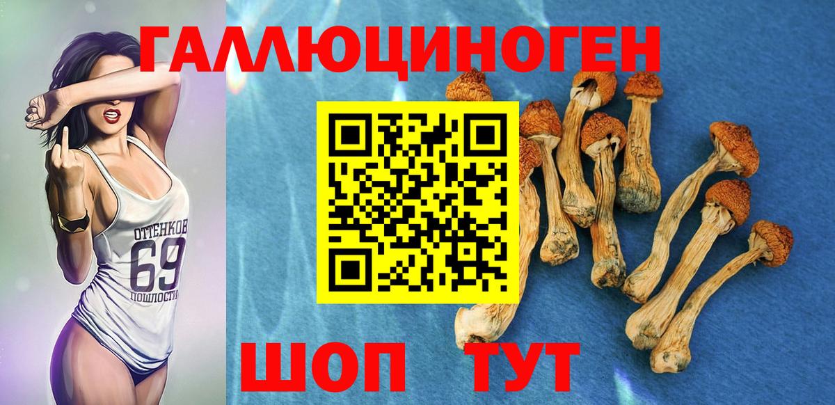 Галлюциногенные грибы GOLDEN TEACHER Лесной
