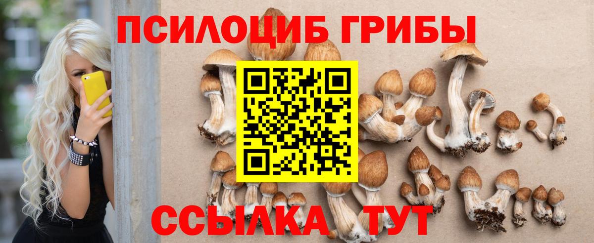 Галлюциногенные грибы прущие грибы  Вход с VPN  Лесной 